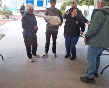 WhatsApp Image 2025-12-14 at 15.30.49