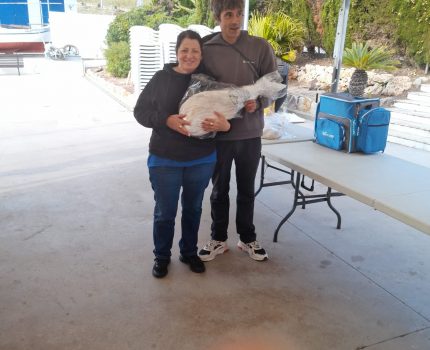 WhatsApp Image 2025-12-14 at 15.30.50 (3)